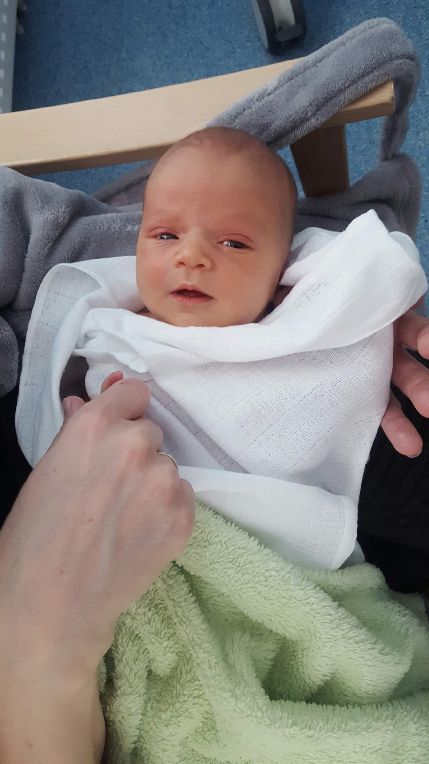 Der Nachwuchs NR. 2 ist da!